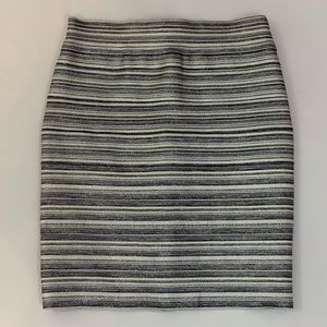 NWT Greylin Glitter Striped Skirt